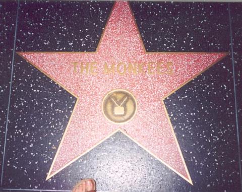 Monkee's star on H'wood Blvd.